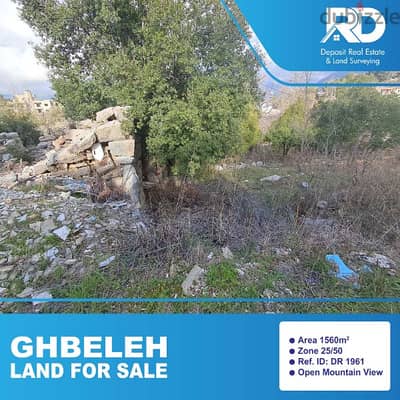 Land for sale at Ghbeleh - أرض للبيع في غباله