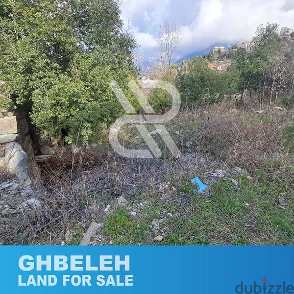 Land for sale at Ghbeleh - أرض للبيع في غباله 2