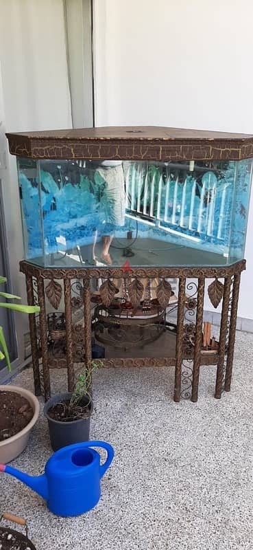 Fish Aquarium  100L