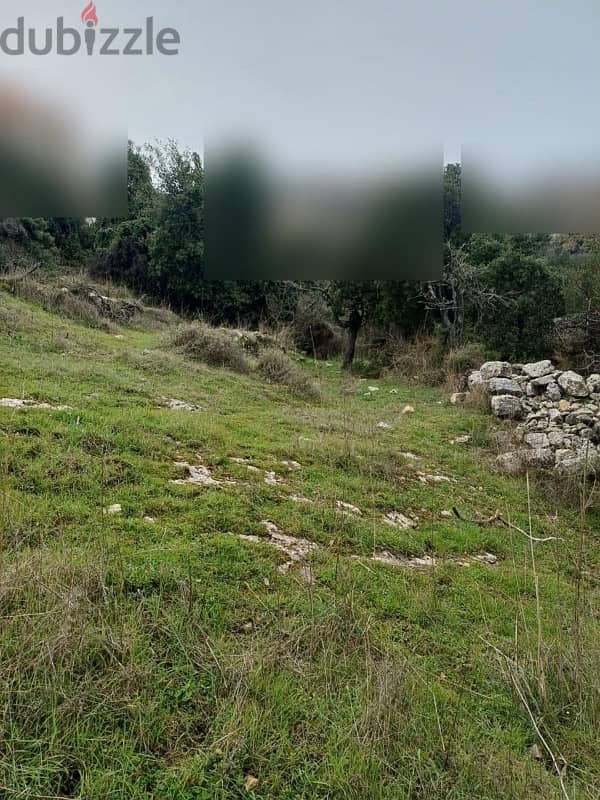 land for sale in Batroûn 1