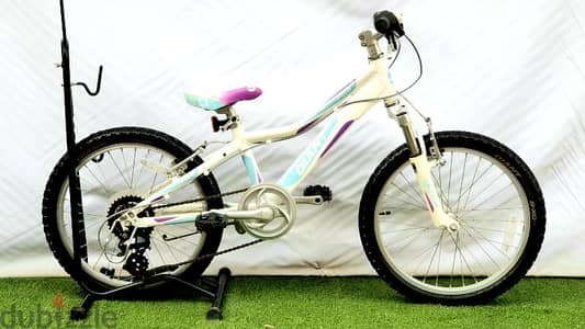 Gaint Areva mtb bike 20