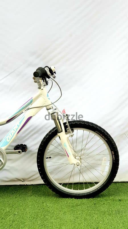 Gaint Areva mtb bike 20 1