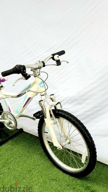 Gaint Areva mtb bike 20 2