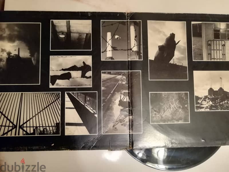 Pink floyd Animals album vinyl 1