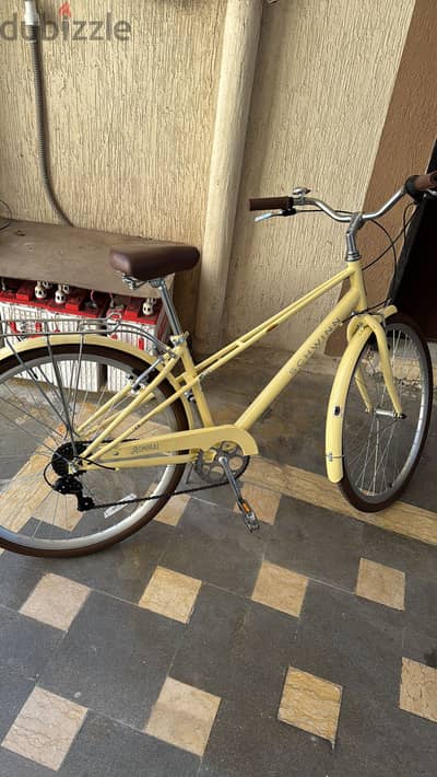 Schwinn Cruiser Bike