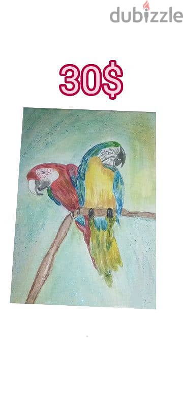 size 24×36in parrots drawing