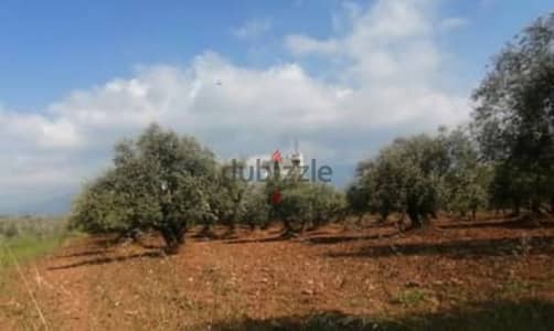 Investment Opportunity l 507 SQM Land in Aley District.