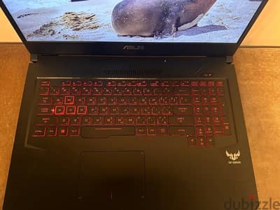 ASUS TUF GAMING - Model FX705DY