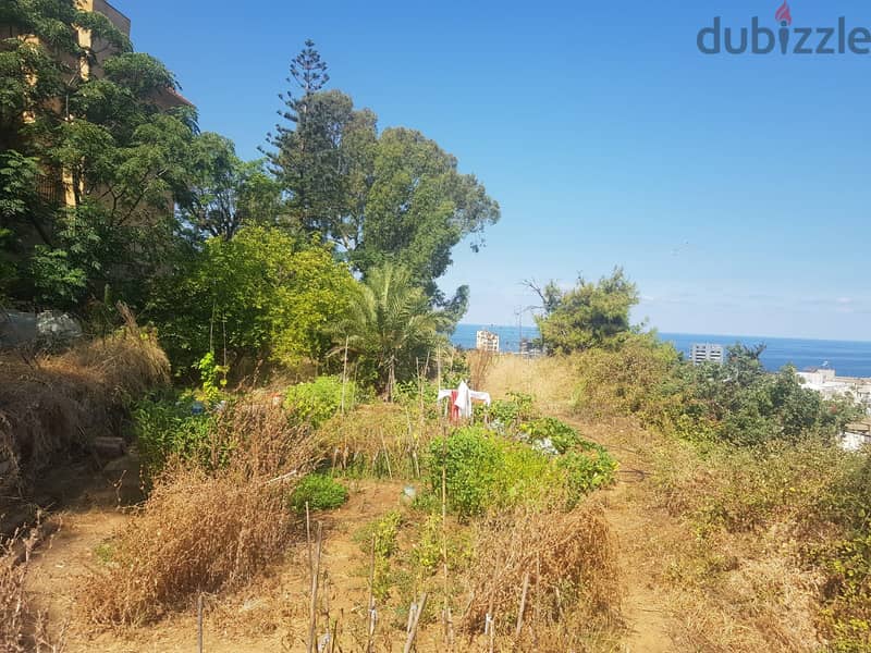 Land +Sea View for sale in Aoukar - أرض للبيع في عوكر 2