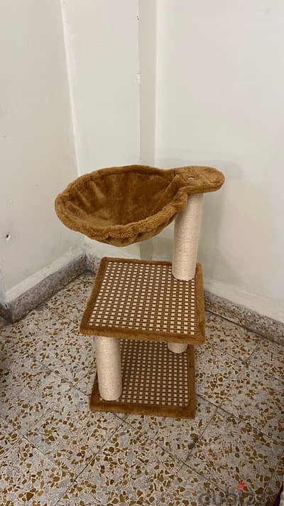 Cat Scratcher