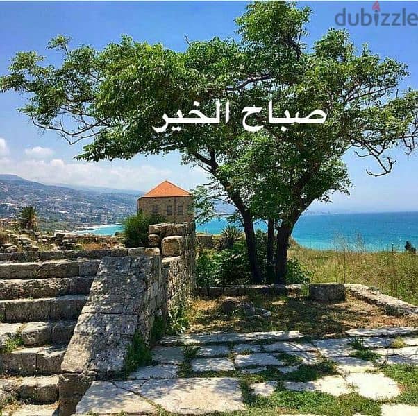 ارض زراعية مزروعة حوالي ٥٠ زيتونة كبار 0