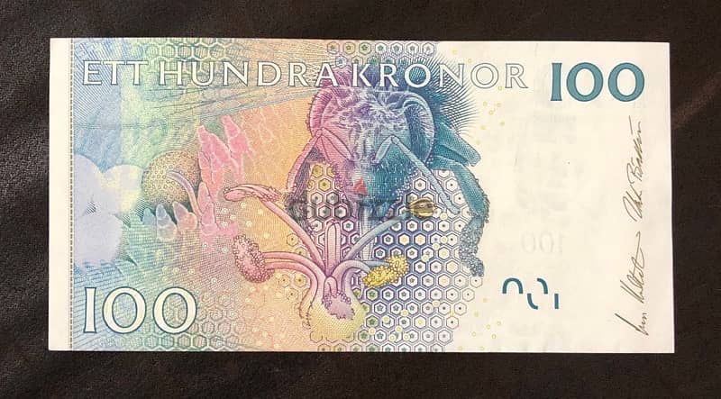 Sweden currency 1