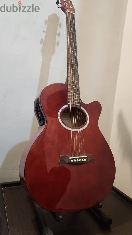 Electro Acoustic Guitar Karl Schneider 1