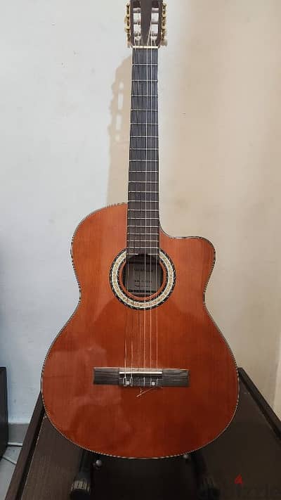 Electro Classical Hohner Guitar