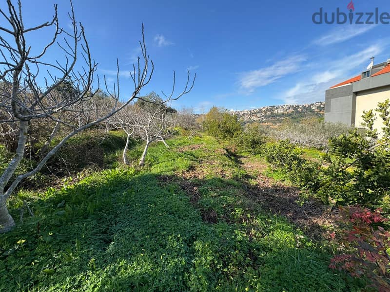 L16983 - Land For Sale In Qortada With A Nice View 1