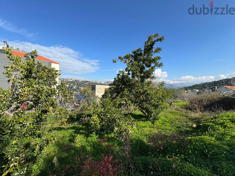 L16983 - Land For Sale In Qortada With A Nice View 2