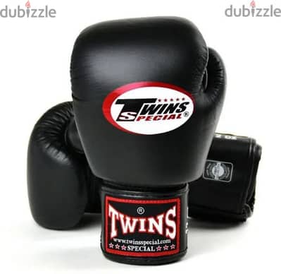 Twins Special Boxing Gloves