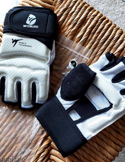 2 taekwondo gloves