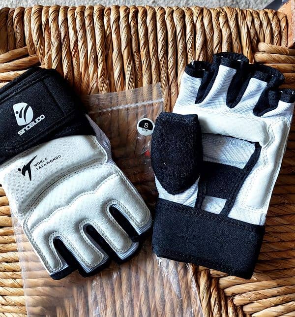 2 taekwondo gloves 1