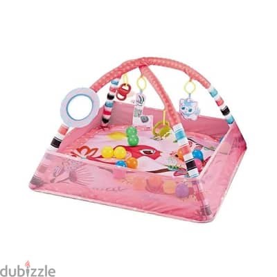 2 In 1 Play Mat Infants Activity Gym