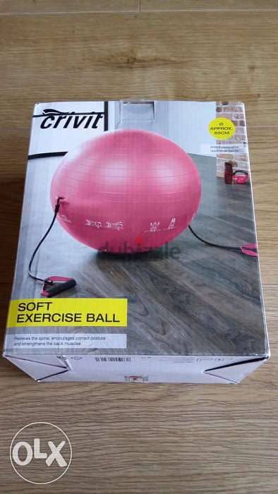 Crivit Gym Ball Made in Germany 0