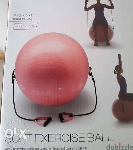 Crivit Gym Ball Made in Germany 3