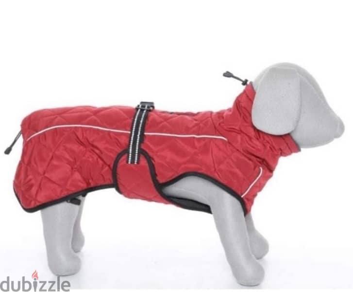 Dogs clothes 1