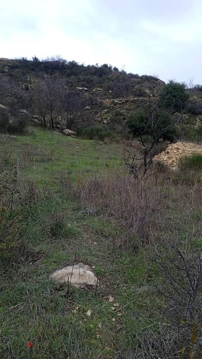 أرض للبيع في الرملية عاليه land for sale in aley ramlye