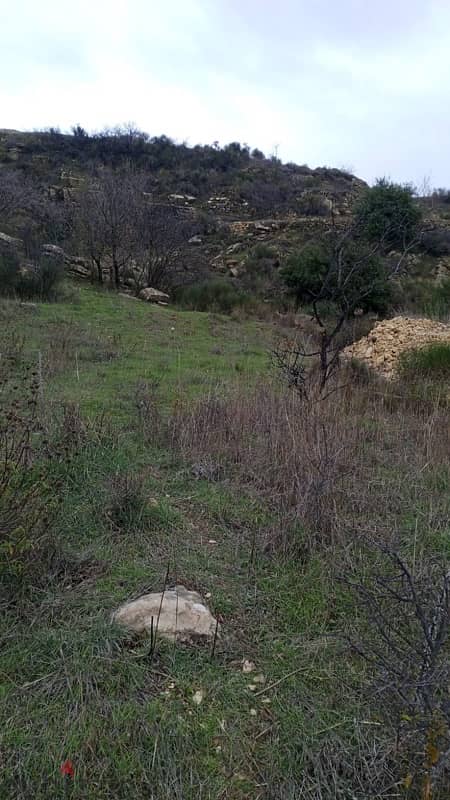 أرض للبيع في الرملية عاليه land for sale in aley ramlye 0