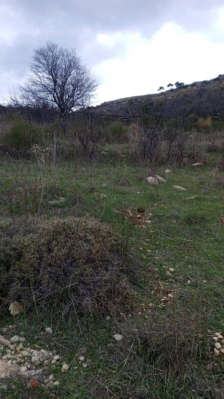 أرض للبيع في الرملية عاليه land for sale in aley ramlye 1