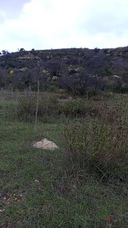 أرض للبيع في الرملية عاليه land for sale in aley ramlye 3