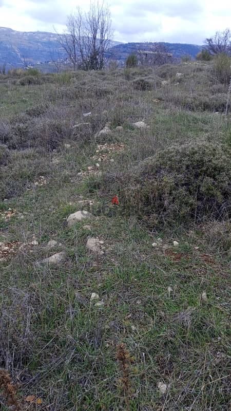 أرض للبيع في الرملية عاليه land for sale in aley ramlye 4