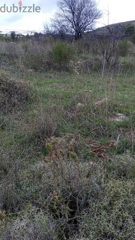 أرض للبيع في الرملية عاليه land for sale in aley ramlye 6