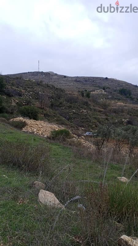 أرض للبيع في الرملية عاليه land for sale in aley ramlye 10