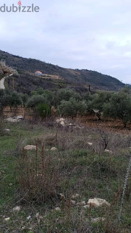 أرض للبيع في الرملية عاليه land for sale in aley ramlye 13