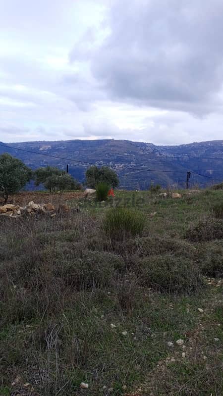 أرض للبيع في الرملية عاليه land for sale in aley ramlye 14