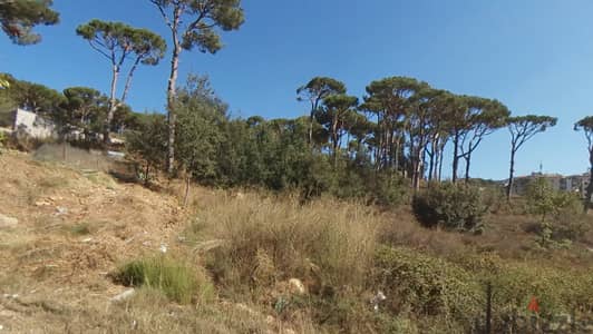 Beautiful land for sale in Bolonia