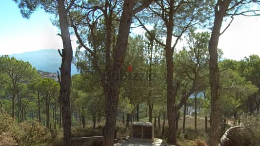 Large land plot for sale in Ayroun - 15,100 sqm - Pine trees