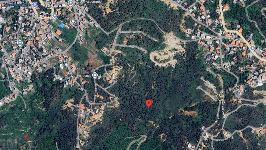 Large land plot for sale in Ayroun - 15,100 sqm - Pine trees 1