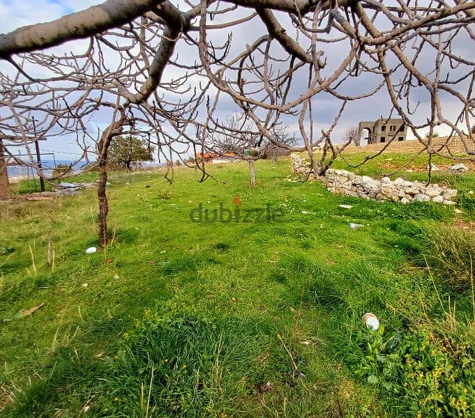 أرض رائعة في أسيا Land for sale in assia batroun 2