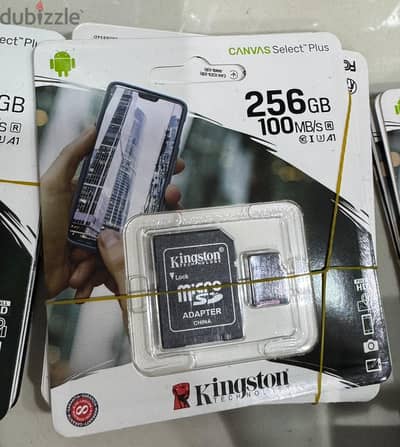 Kingston memory 256gb with adapter