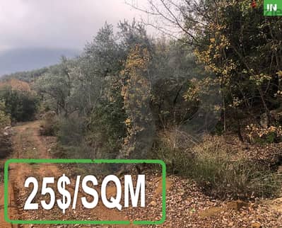 Olives Farm for Sale in Douma, Batroun/ دوما, بترون REF#IN117723