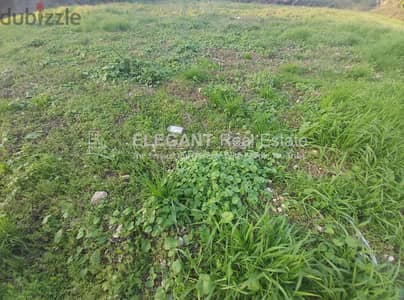 Flat Land for Sale | Highway | Okaibe