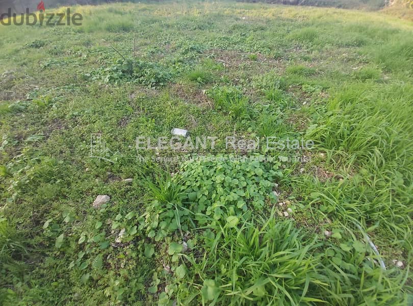 Flat Land for Sale | Highway | Okaibe 0