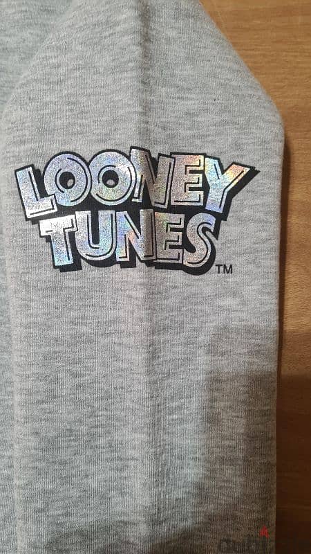 Looney Tunes Sweater 2