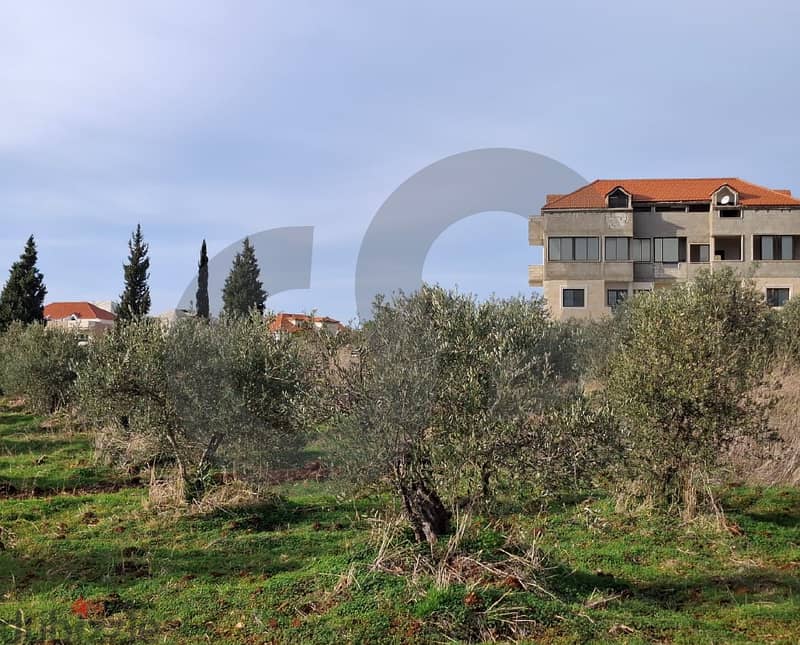 Open view- Under market price-Ras Masqa, Koura/راس مسكا REF#MN117184 1