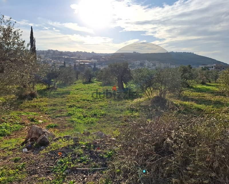 Open view- Under market price-Ras Masqa, Koura/راس مسكا REF#MN117184 2