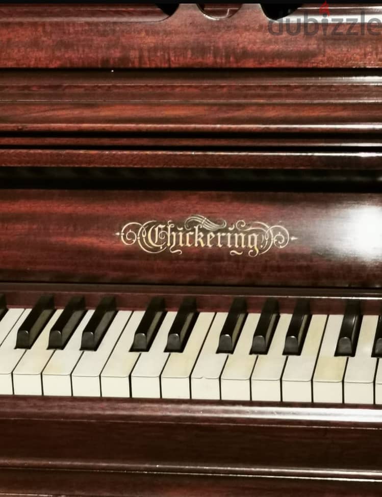 Chickering & Sons Piano 4