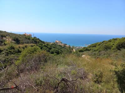 Land for sale in Edde - Batroun (930 sqm) |  أرض للبيع في إده البترون