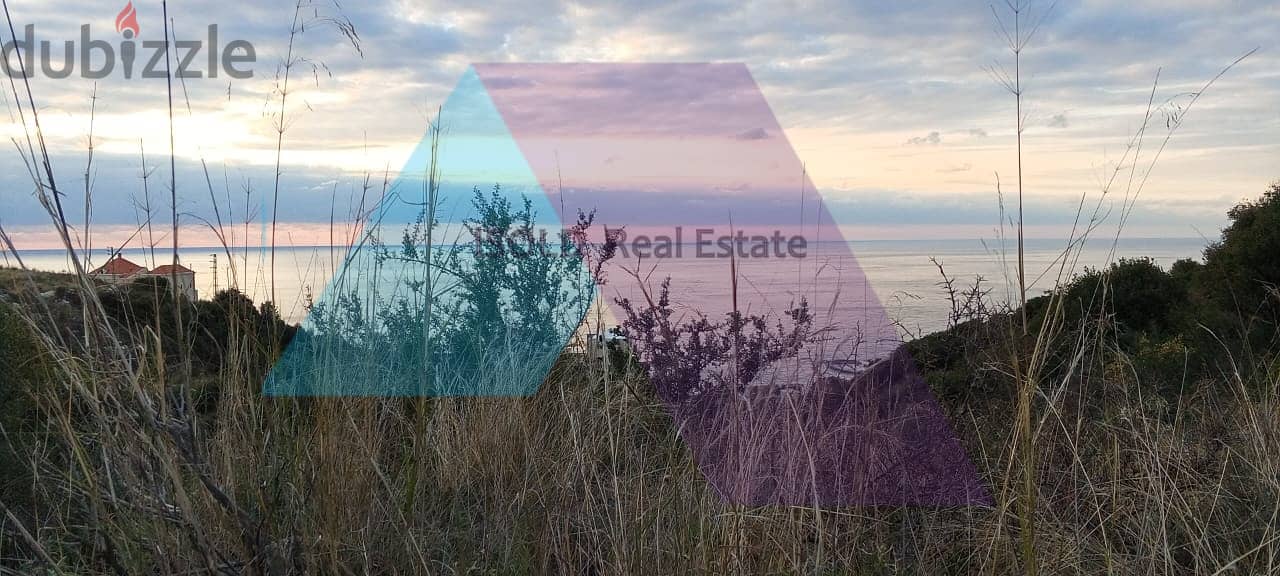 Land for sale in Edde - Batroun (930 sqm) |  أرض للبيع في إده البترون 5